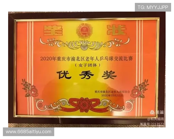 乒乓球比赛的感想：运动精神与团队合作的深刻体会